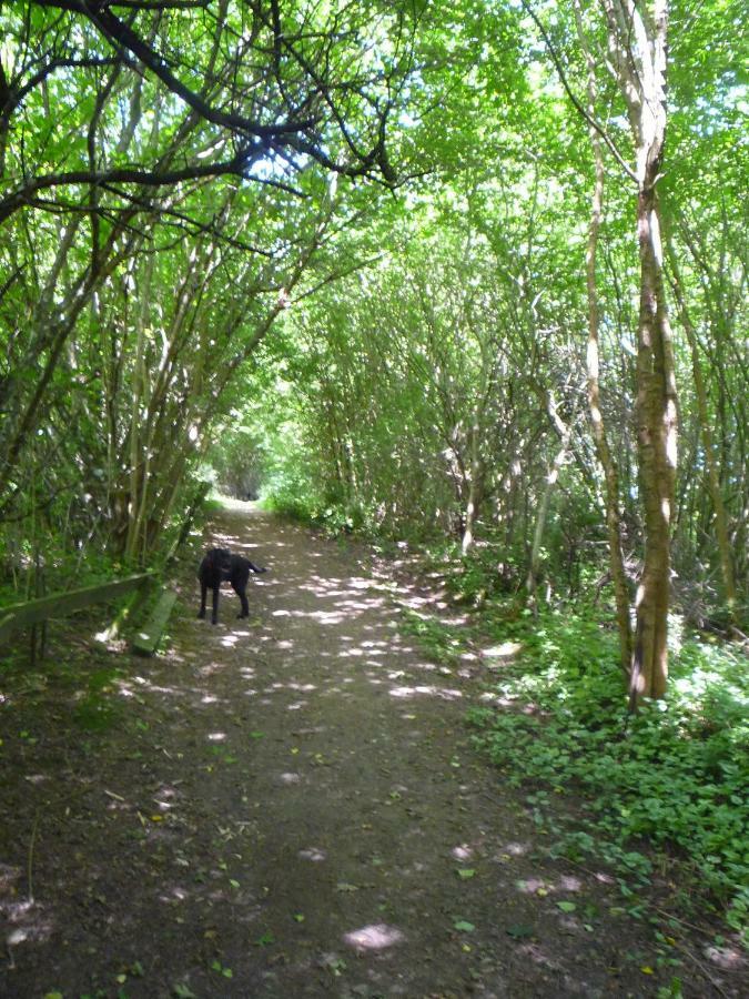 Wolfs Ferienhaus - Natuerlich Eifel Blankenheim  Bagian luar foto